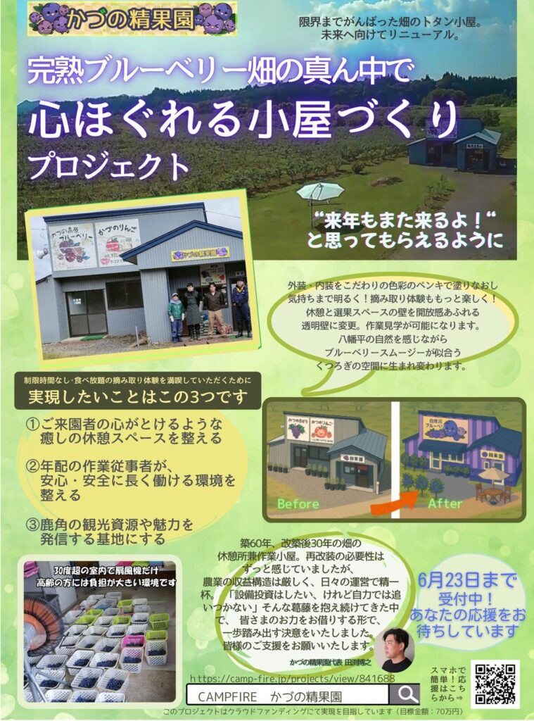 作品例:クラウドファンディングのチラシ(表)