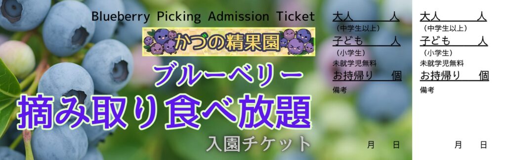 作品例:ブルーベリー摘み取り食べ放題の入園チケット